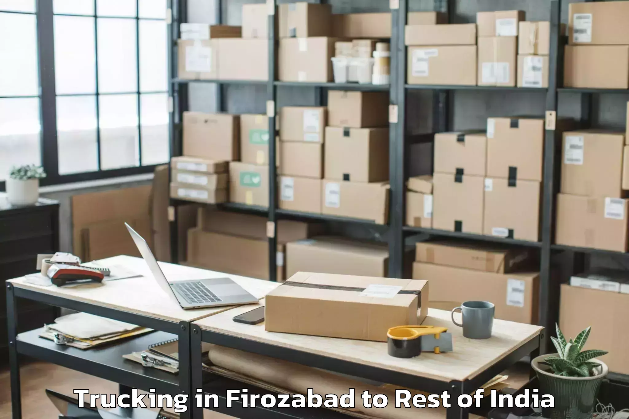 Comprehensive Firozabad to Ozhukarai Trucking